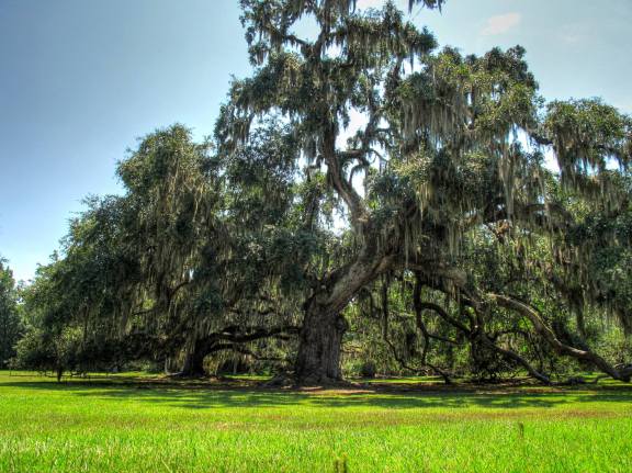 1008697_10151902730105362_71239904_o